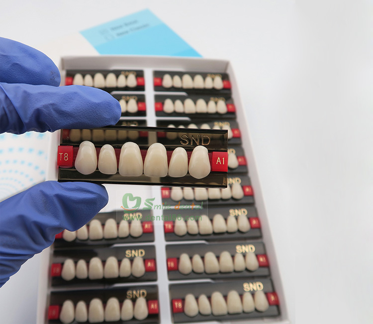 Two Layer Acrylic Resin Teeth